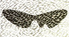 Festival-do-rio-web